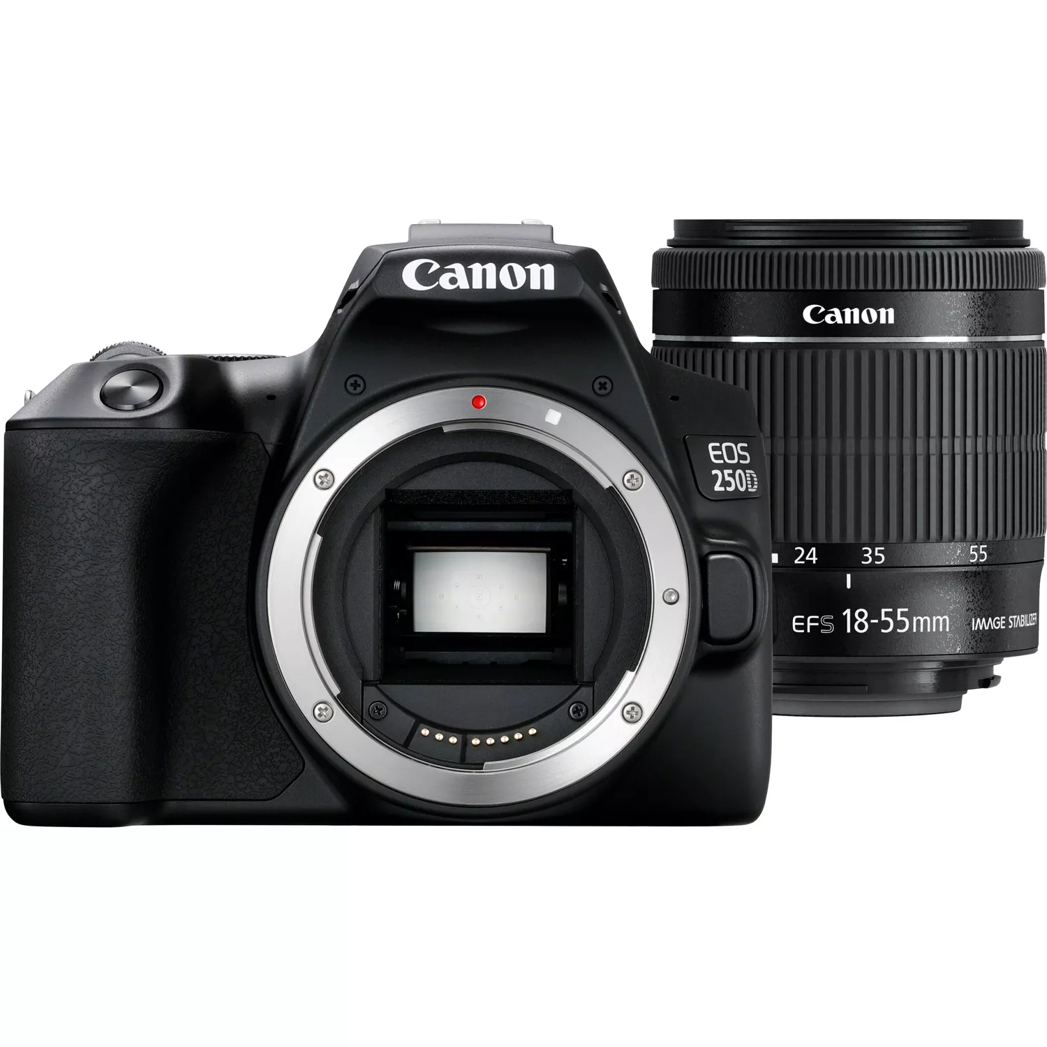 Canon EOS 250D with 18-55mm STM Lens