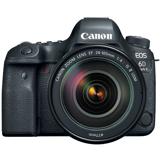 Canon EOS 6D Mark II with 24-105mm Lens