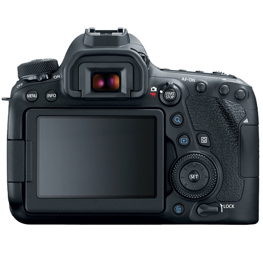 Canon EOS 6D Mark II with 24-105mm Lens