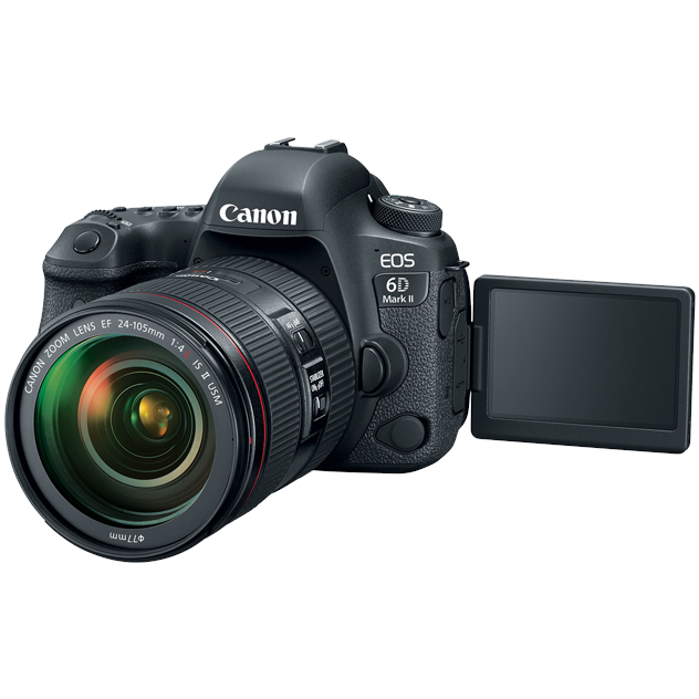 Canon EOS 6D Mark II with 24-105mm Lens