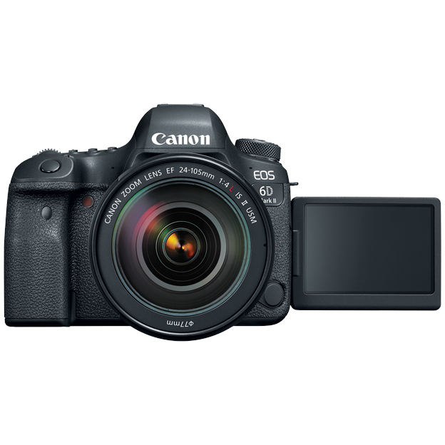 Canon EOS 6D Mark II with 24-105mm Lens