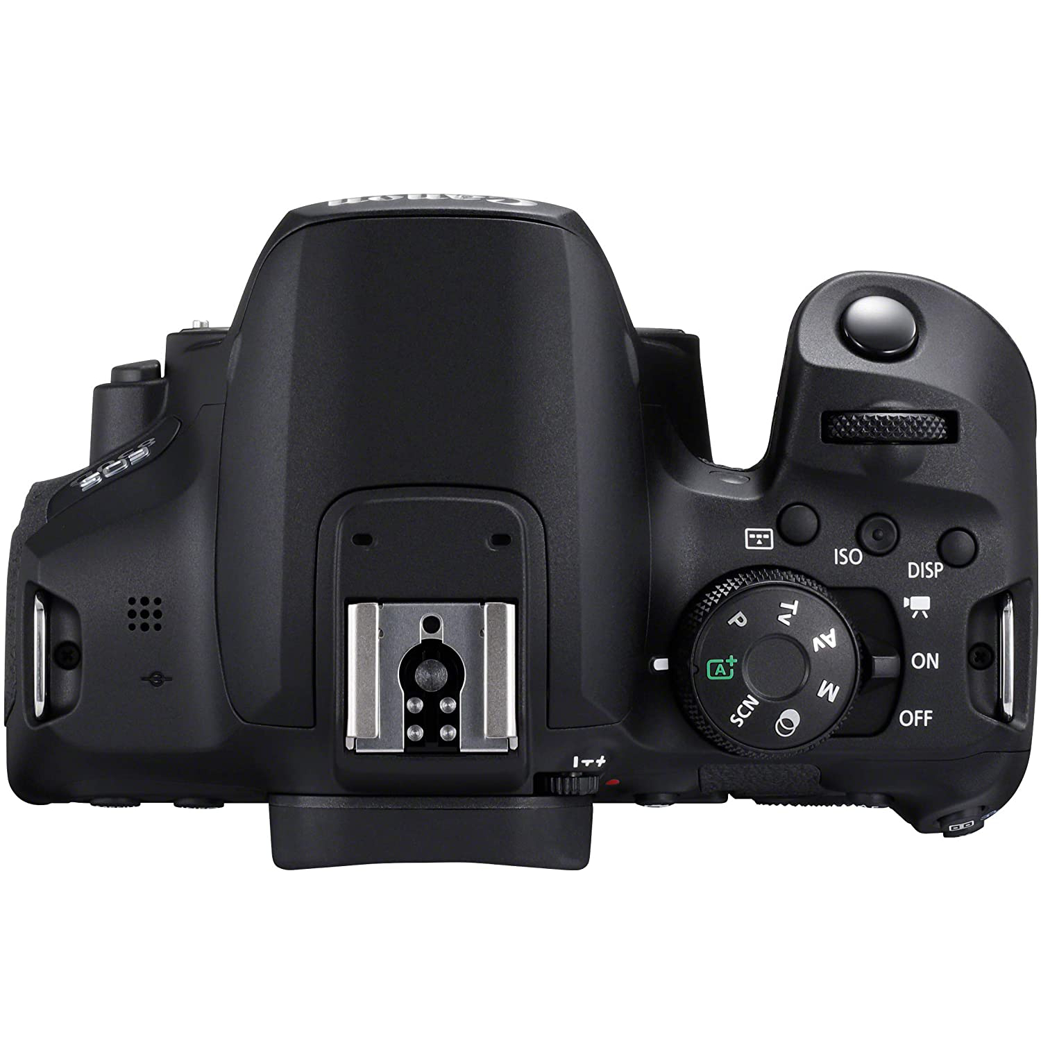 Canon EOS 850D Body