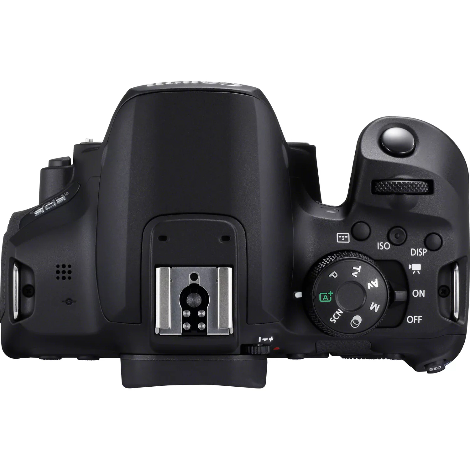 Canon EOS 850D with 18-135mm USM Lens